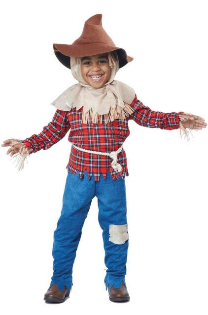 CAL-00169 / HARVEST TIME SCARECROW