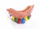 FOR-60182 / EVIL CLOWN TEETH