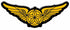 FOR-78820 / IRON ON APPLIQUE - PILOT WINGS