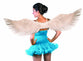FOR-82585 / SILVER METALLIC FEATHER WINGS