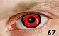PUPI67