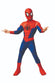 RUB-701435 / SAM- Peter Parker Spider-Man C