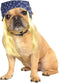 RUB-886553 / PET BANDANA WITH HAIR