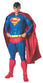 RUB-909865 / COLLECTOR SUPERMAN -