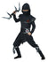 CAL-00473  /  NINJA WARRIOR   [26]