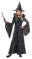 CAL-00493  /  MOONLIGHT SHIMMER WITCH   [26]