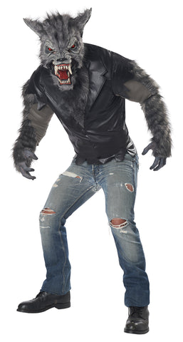 CAL-00785  /  FULL MOON FURY  [26]