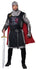 CAL-01370  /  MEDIEVAL KNIGHT  [26]