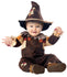 CAL-1120-097  /  HAPPY HARVEST SCARECROW  [26]