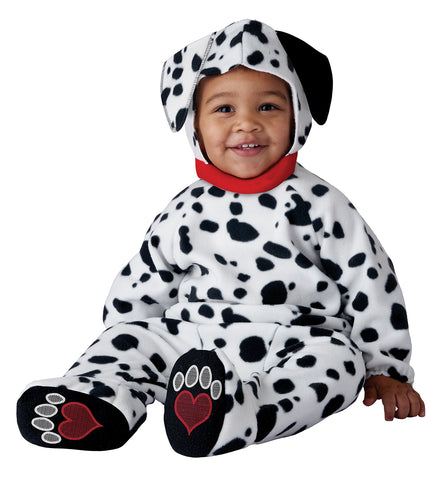 CAL-1221-193  /  ADORABLE DALMATIAN [26]