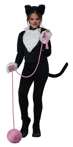 CAL-3025-124  /  KITTY CAT KIT   [26]