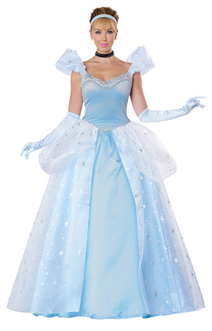 CAL-5024-081 / DELUXE ENCHANTED PRINCESS COSTUME / ADULT - L--[26]