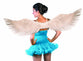 FOR-82585 / SILVER METALLIC FEATHER WINGS