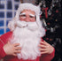 RUB-2303 / SANTA BEARD & WIG FEATURE