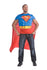 RUB-880530 / SUPERMAN ADULT MC SHIRT