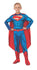 RUB-881367 / DLX. SUPERMAN