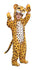 RUB-885982 / LEOPARD