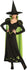 RUB-887379 / HS ADULT WICKED WITCH