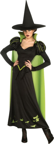 RUB-887379 / HS ADULT WICKED WITCH
